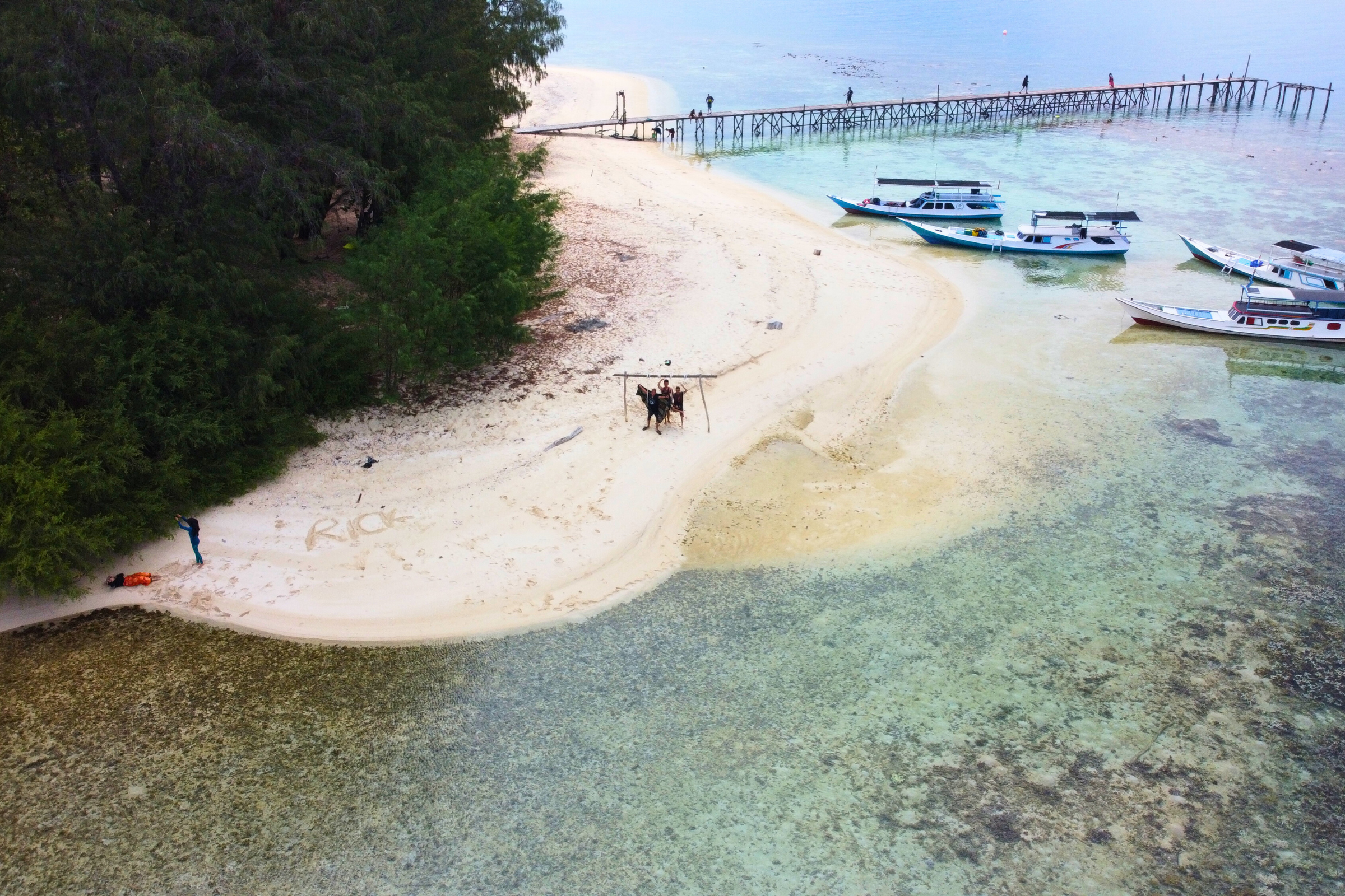 menjangan island (4).webp